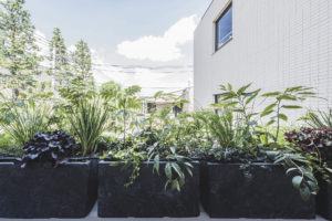 建築写真撮影　竣工写真撮影　集合住宅　アパート・マンションなど　建築カメラマン 建築写真きれい　建築カメラマン 神奈川　東京　千葉　埼玉　竣工写真　建築写真家　建築写真きれい　集合住宅撮影　集合住宅の部屋　建築　画像リタッチ料金内　カレッジコート東小金井　廊下２